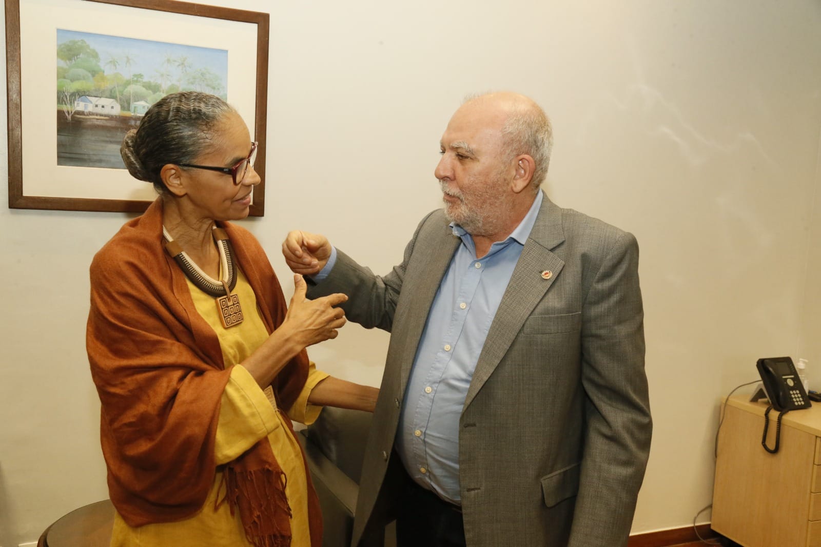 Ministra Marina Silva merece respeito!