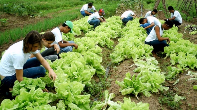 Jovens fortalecem sucessão rural com apoio do Sintraf-Petrolina