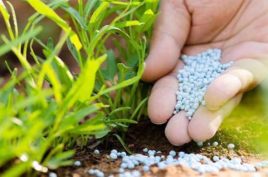 Fertilizantes e indústria nacional pautam encontros em Brasília